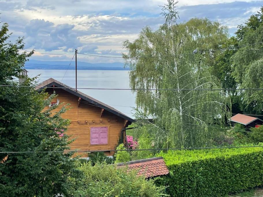 La Veranda De La Mouette Thonon-les-Bains Exterior foto